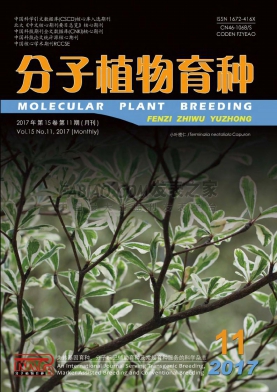 《分子植物育种》杂志