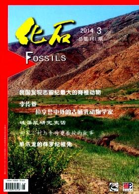 《化石》杂志
