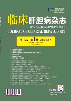 《临床肝胆病》杂志