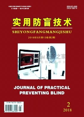 《实用防盲技术》杂志