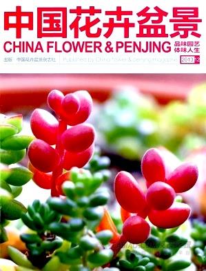 《中国花卉盆景》杂志