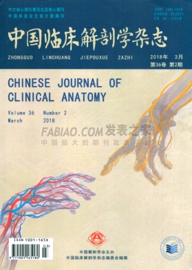 《中国临床解剖学》杂志