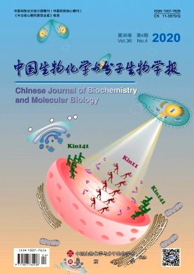 《中国生物化学与分子生物学报》杂志